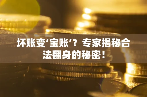 武汉坏账变‘宝账’？专家揭秘合法翻身的秘密！