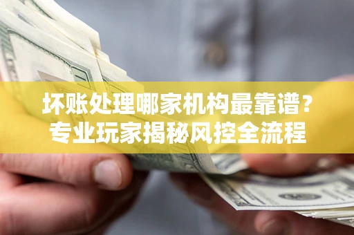 武汉坏账处理哪家机构最靠谱？专业玩家揭秘风控全流程