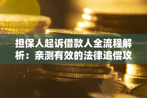 武汉担保人起诉借款人全流程解析：亲测有效的法律追偿攻略