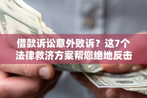 武汉借款诉讼意外败诉？这7个法律救济方案帮您绝地反击！