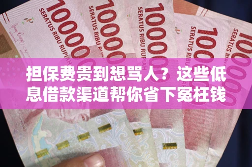 武汉担保费贵到想骂人？这些低息借款渠道帮你省下冤枉钱