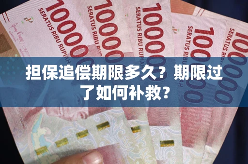 武汉担保追偿期限多久？期限过了如何补救？