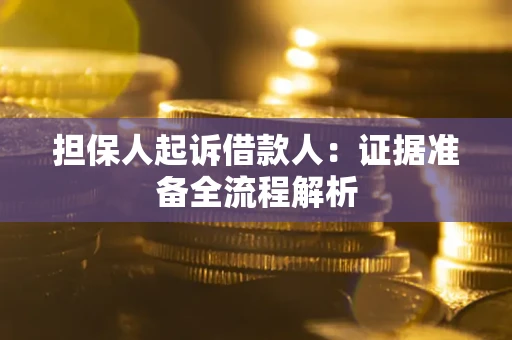 武汉担保人起诉借款人：证据准备全流程解析
