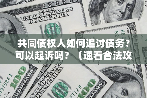 武汉共同债权人如何追讨债务？可以起诉吗？（速看合法攻略）