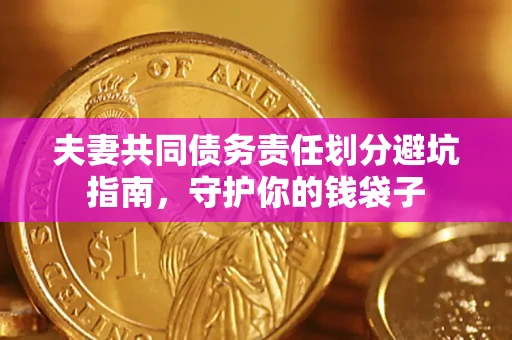 武汉夫妻共同债务责任划分避坑指南，守护你的钱袋子