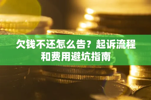 武汉欠钱不还怎么告？起诉流程和费用避坑指南