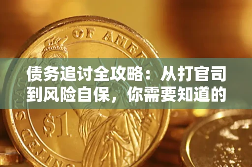 武汉债务追讨全攻略：从打官司到风险自保，你需要知道的法律智慧